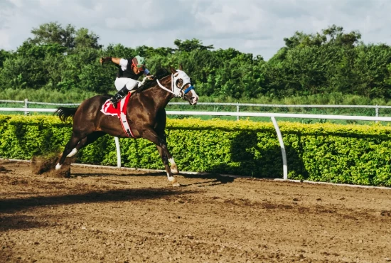 Revving Up Fun: A Day at Thistledown Racino